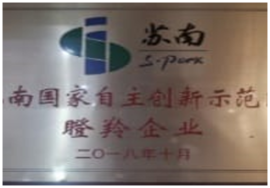 瞪羚企業